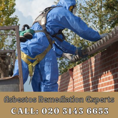 Asbestos Remediation Experts London