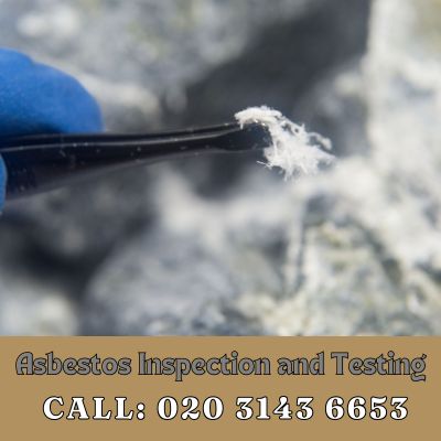 Comprehensive Asbestos Inspection and Testing Services in London